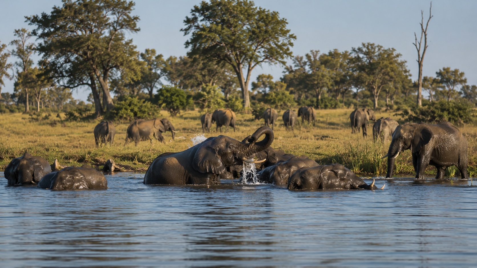 Chobe National Park