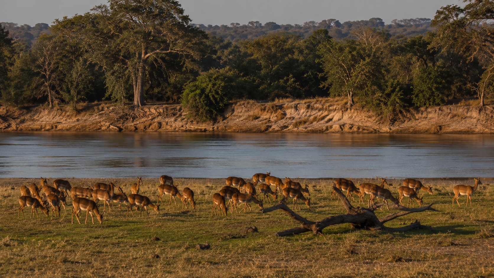 Kafue National Park